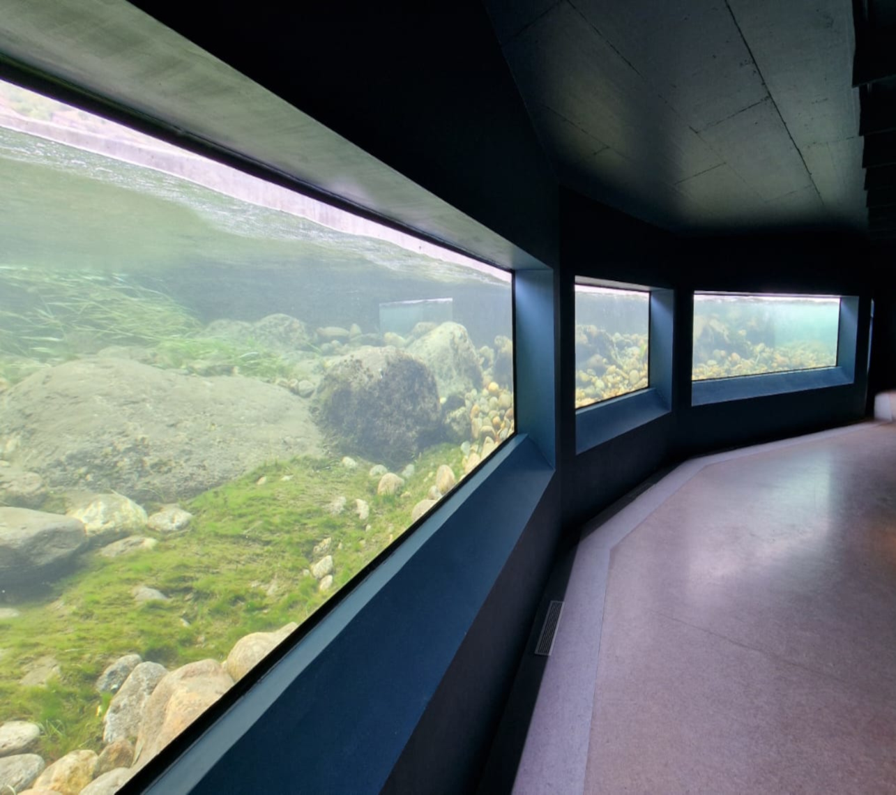 <a href="https://clearrock.nl/project-aquarium-rotterdam-copy/" data-type="page" data-id="477">Digital Wild Salmon Center<br>Norway</a>