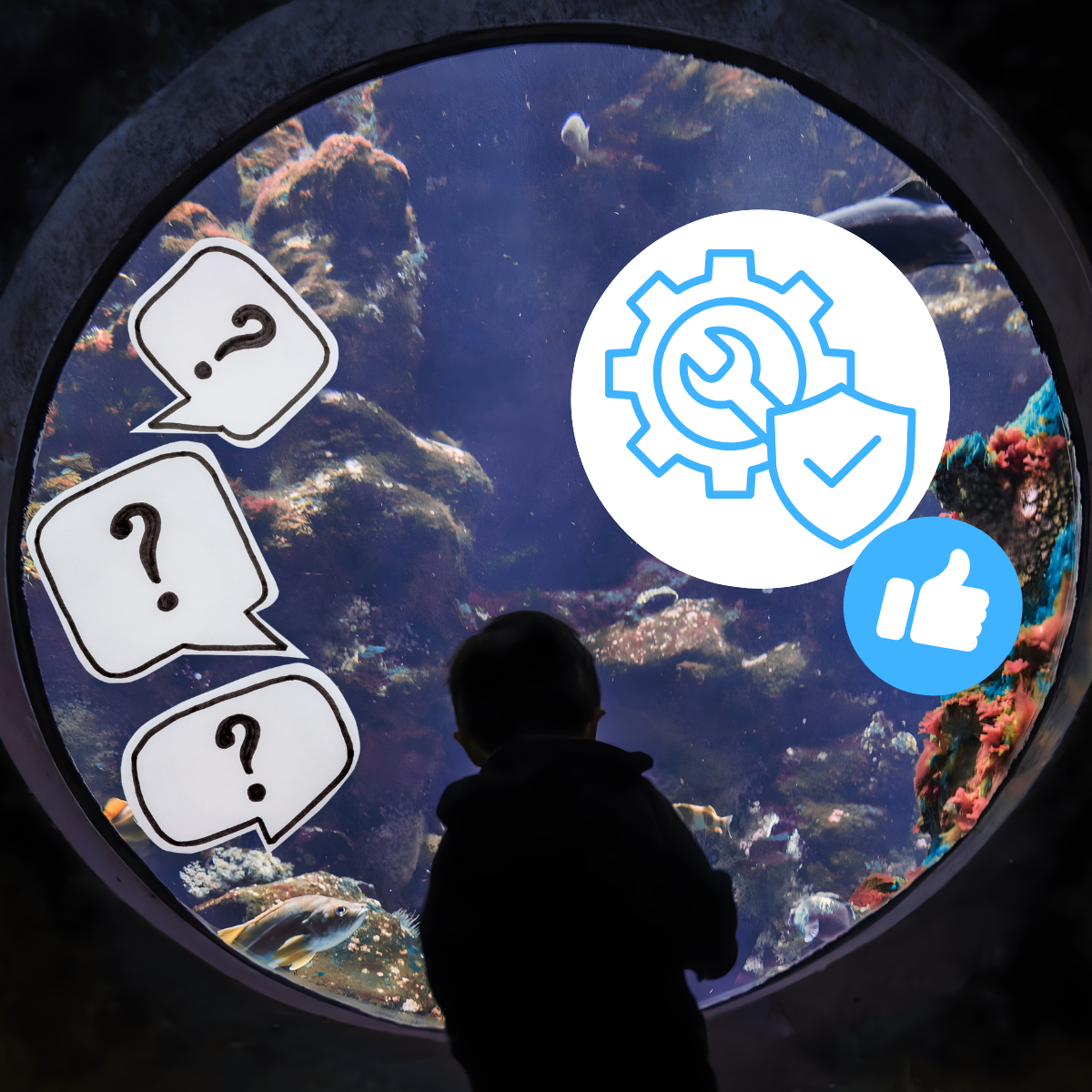 How to Maintain Acrylic Aquarium Windows and Panels
